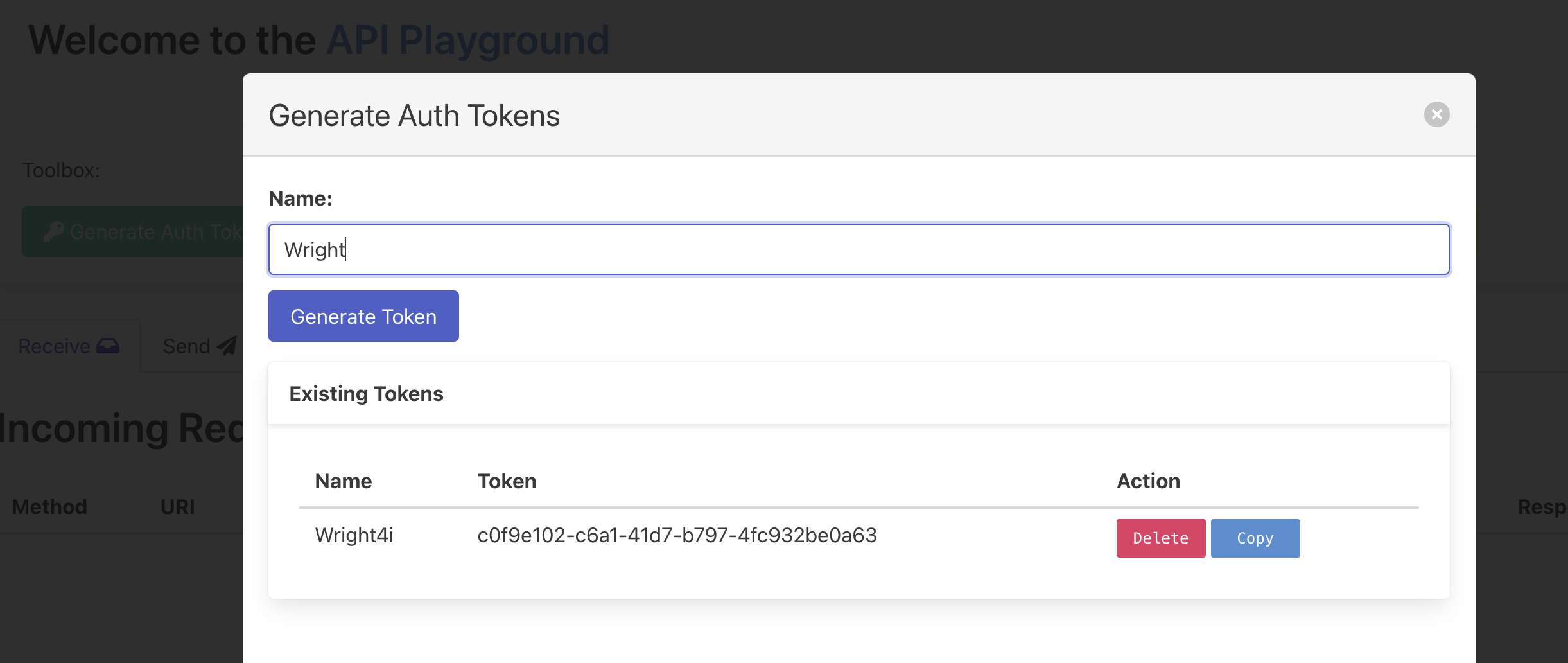 API Playground Valid Token